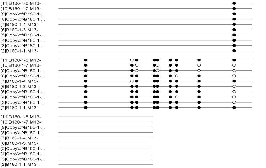 DNA甲基化分析結果1jpg.png