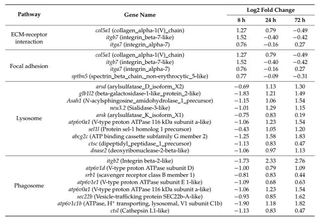 640 (3).webp (8).jpg