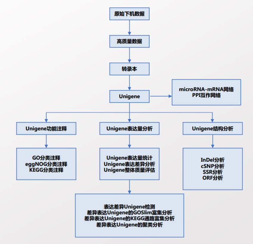 圖片1.jpg