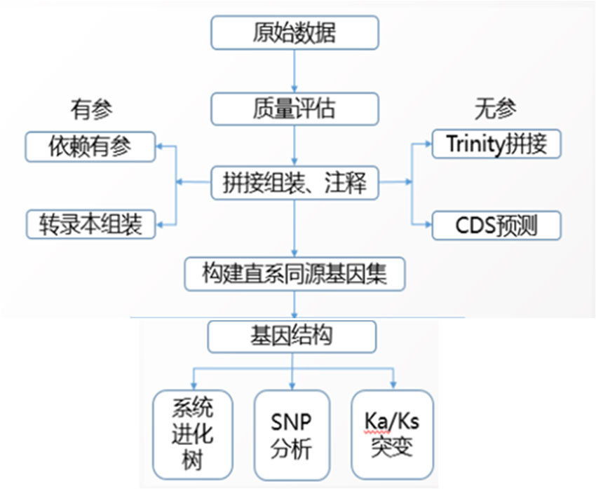 圖片2.jpg