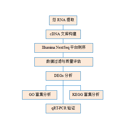 生成的vwdvd.PNG