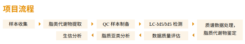 項(xiàng)目流程.png