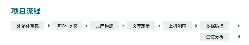 項(xiàng)目流程.png