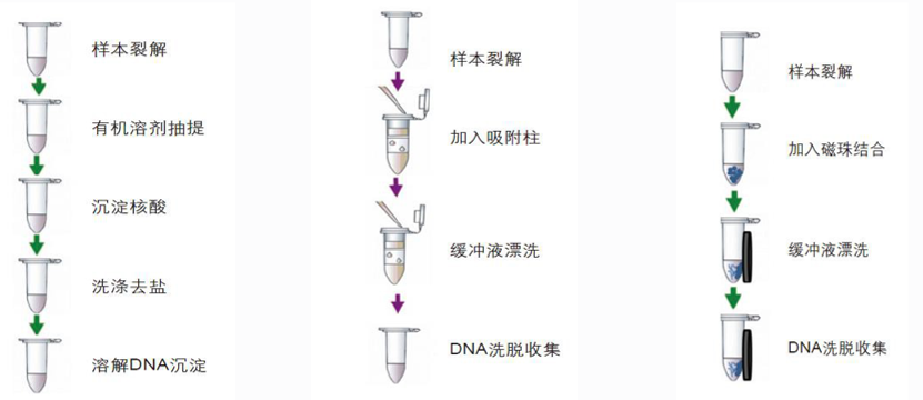 圖片11.png