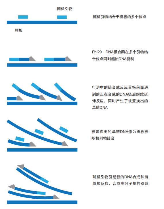 圖片1.png