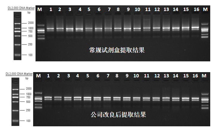 圖片6.png