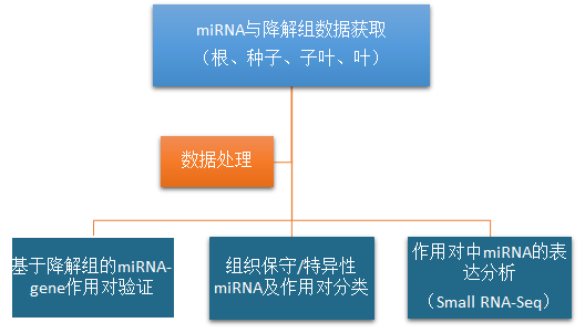 圖片4.png