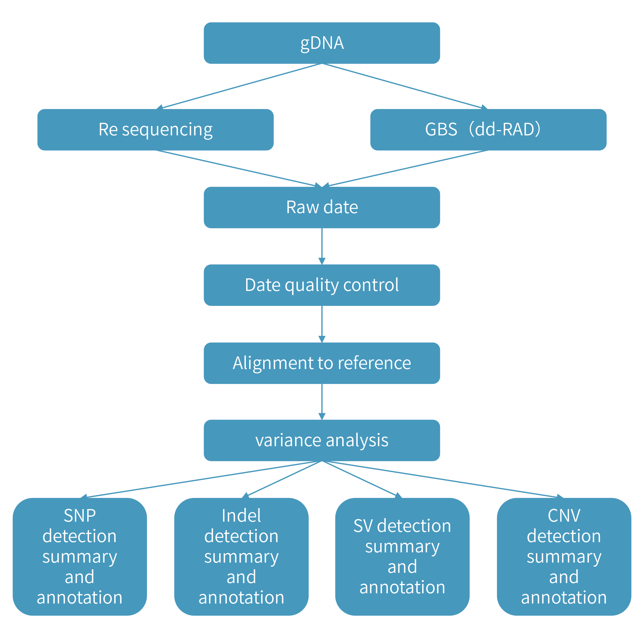 Genetic Variation Detection技術(shù)路線.png