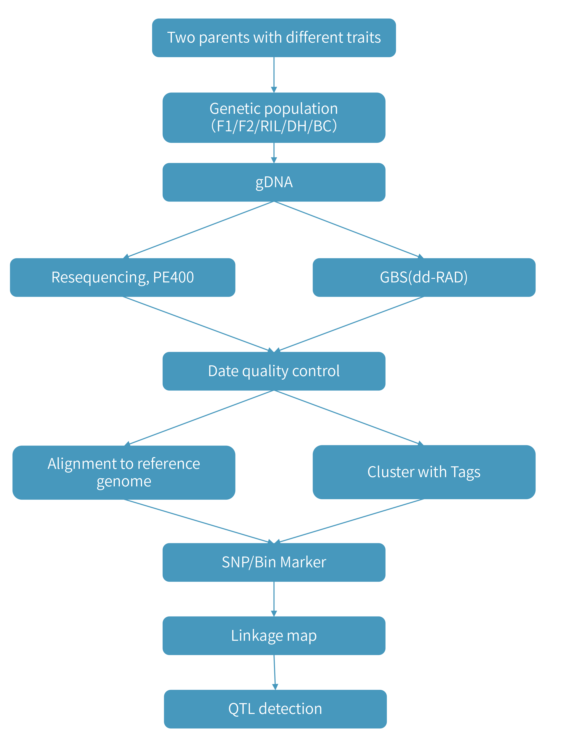 Genetic Linkage Map技術路線.png