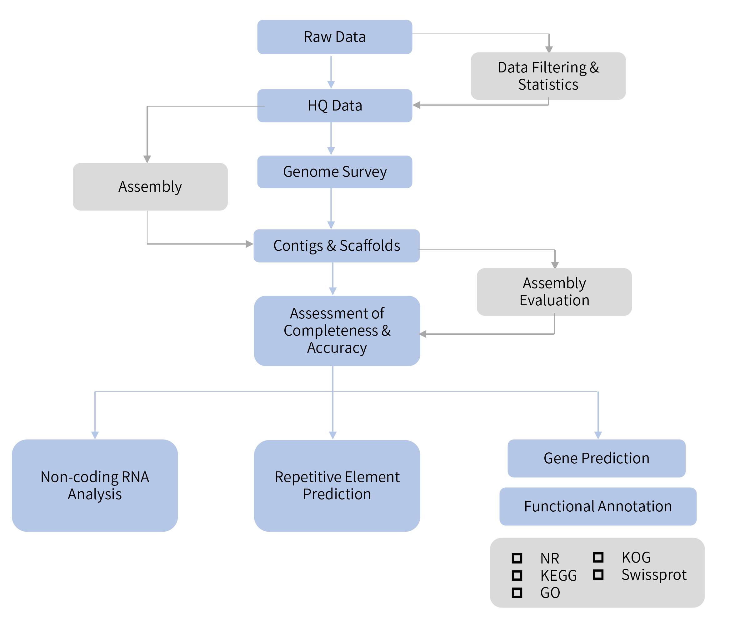 Fungus de novo sequencing-技術(shù)路線.png
