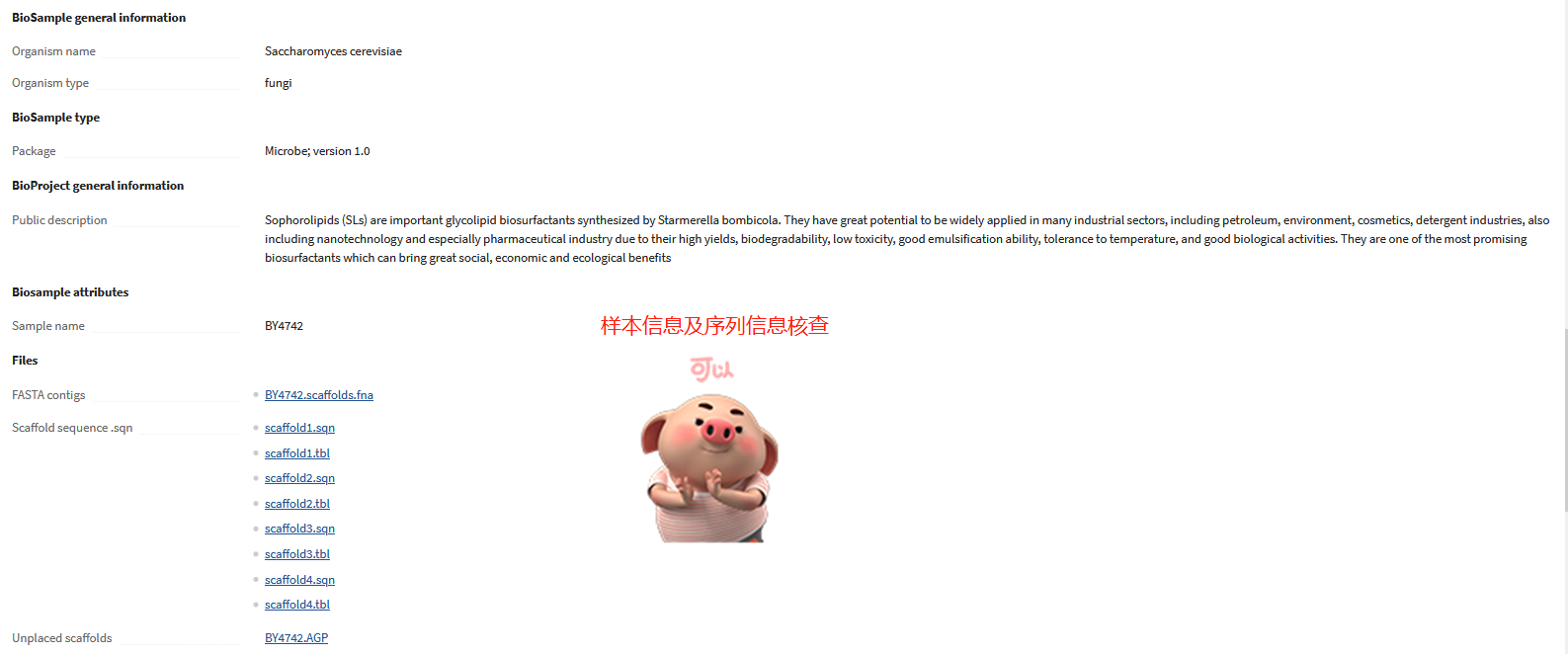 圖片24.png