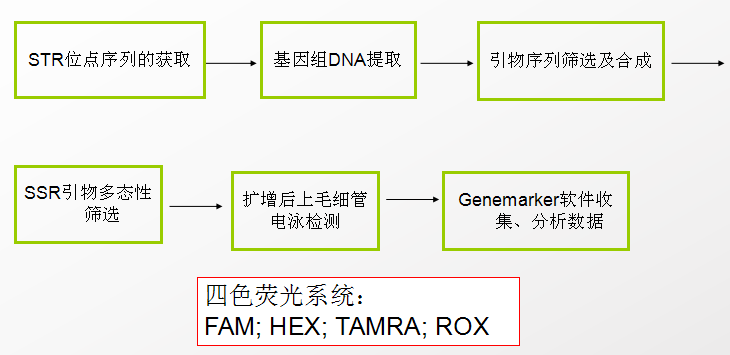 圖片4.png