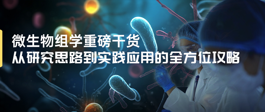 從研究思路到實(shí)踐應(yīng)用的全方位攻略-(1).jpg