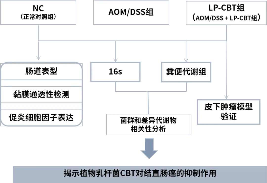 圖片13.png
