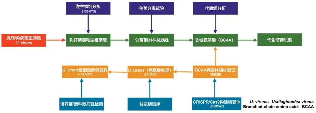 圖片4.png