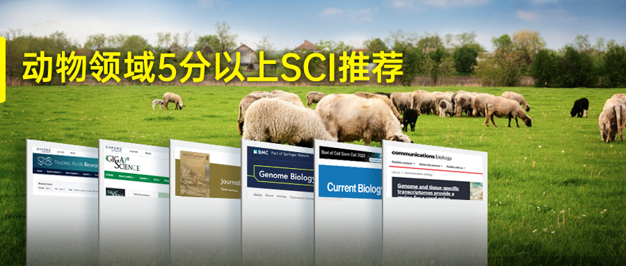 內頁.jpg
