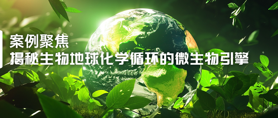 揭秘生物地球化學(xué)循環(huán)的微生物引擎-(1).jpg